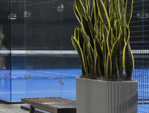 SLC Padel Club court view