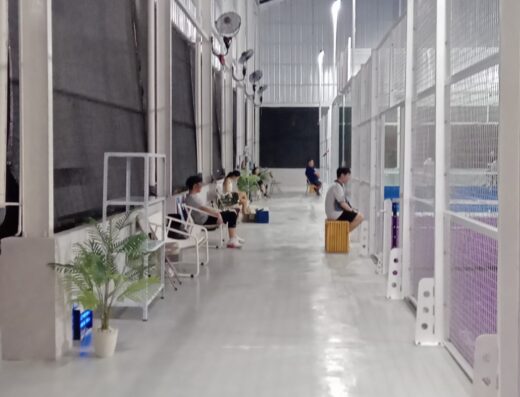JC Padel Kedoya court view
